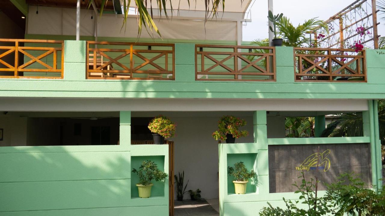 Turtle Maldives - Your Gateway To The Beach & Marine Adventures Await! Omadhoo Zewnętrze zdjęcie