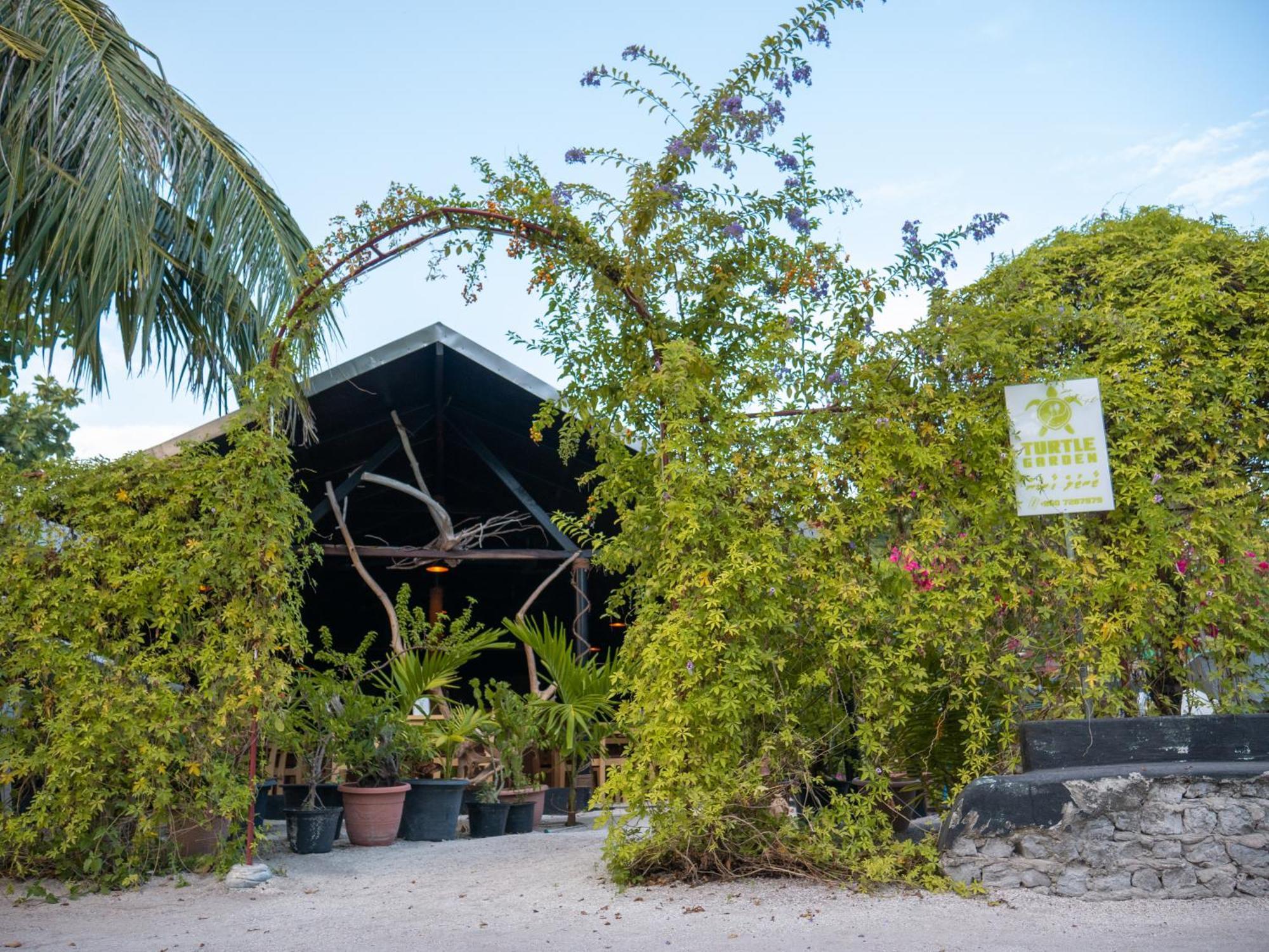 Turtle Maldives - Your Gateway To The Beach & Marine Adventures Await! Omadhoo Zewnętrze zdjęcie