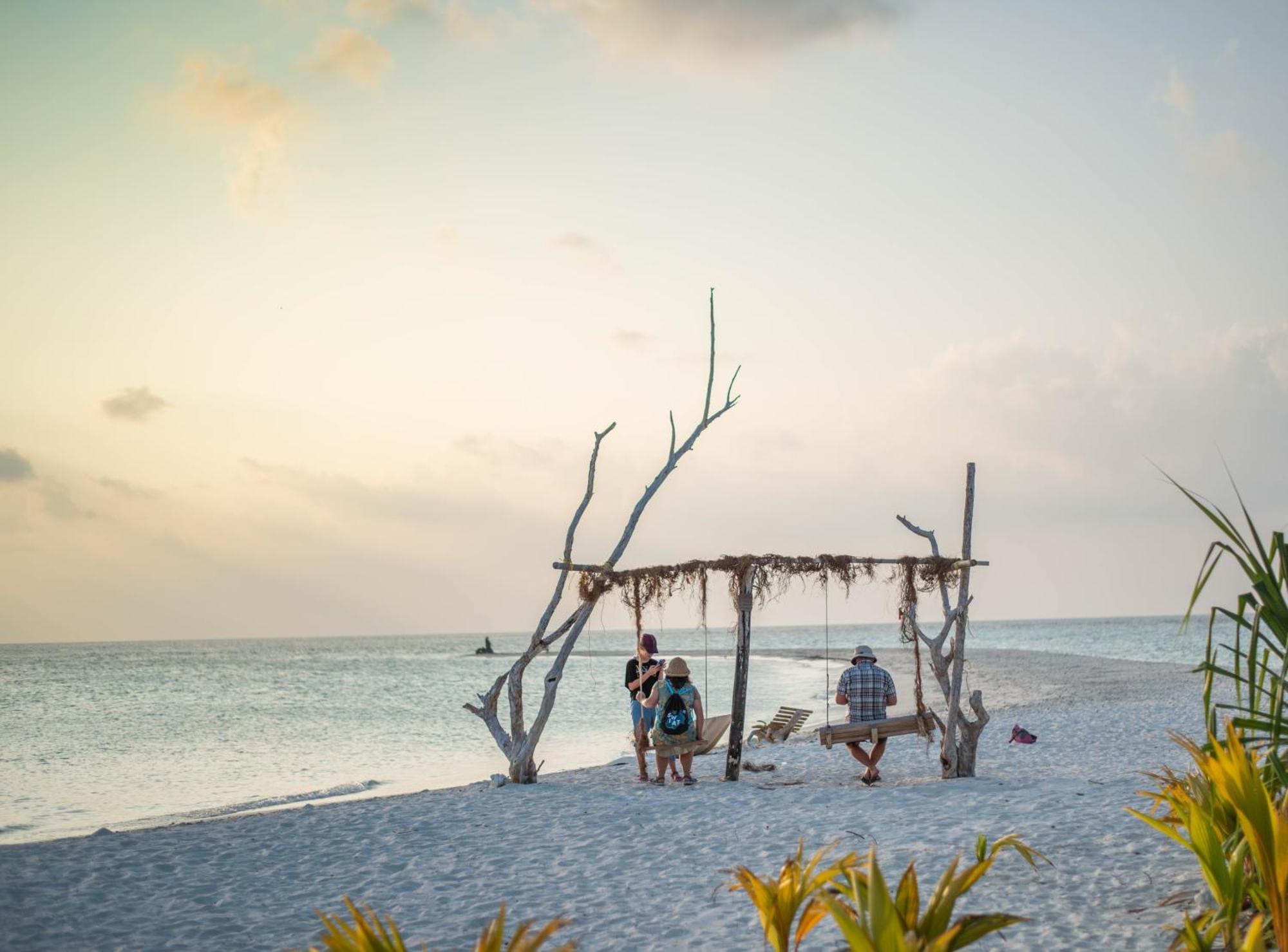 Turtle Maldives - Your Gateway To The Beach & Marine Adventures Await! Omadhoo Zewnętrze zdjęcie