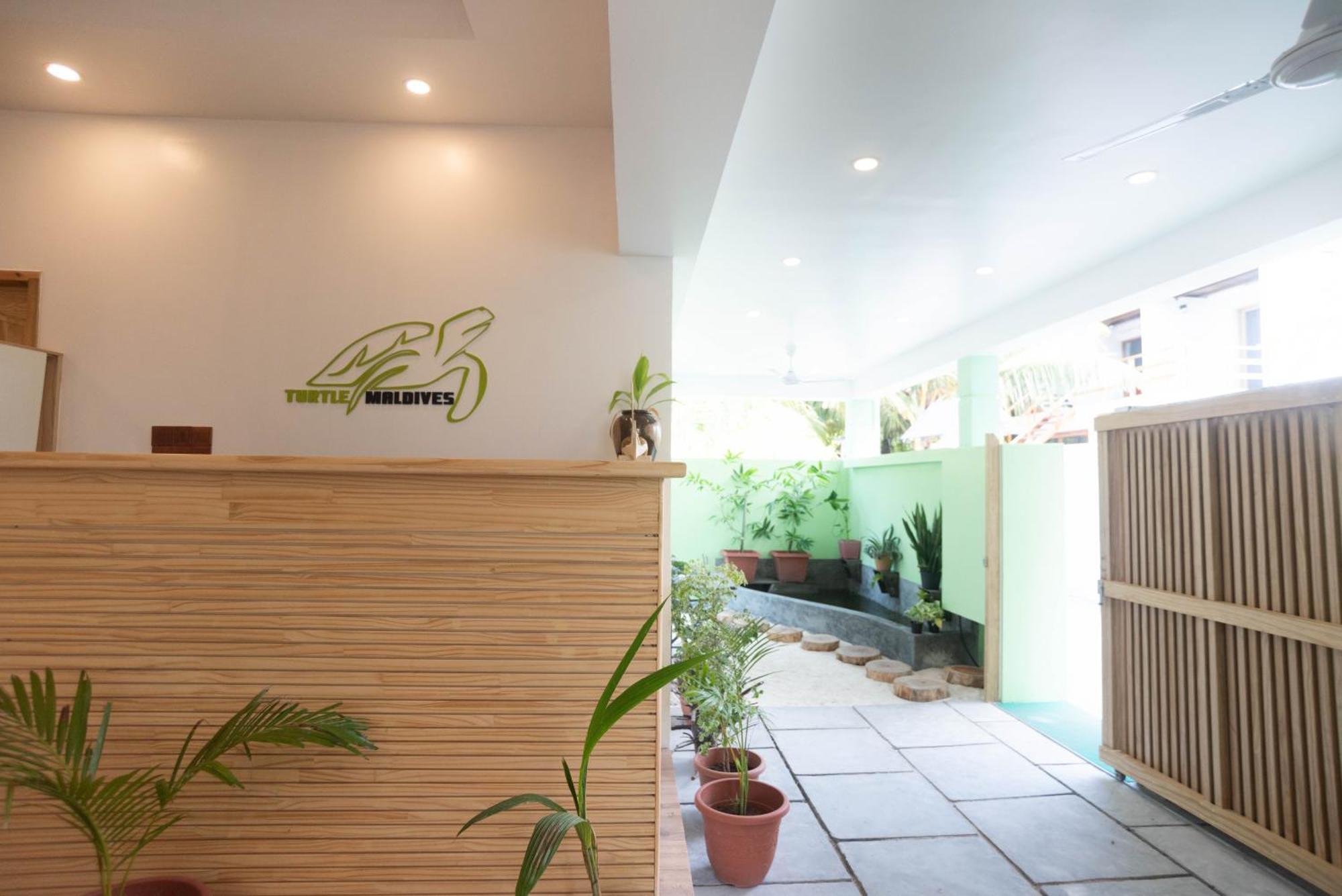 Turtle Maldives - Your Gateway To The Beach & Marine Adventures Await! Omadhoo Zewnętrze zdjęcie
